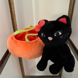 Halloween cat and orange pumpkin